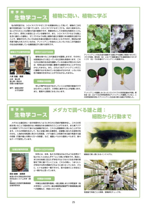 理学部研究紹介