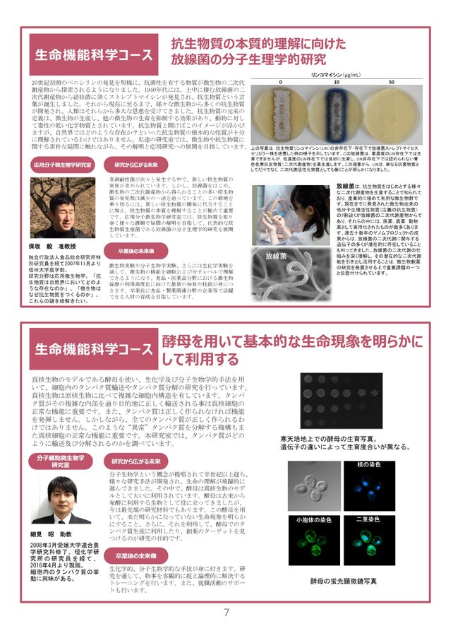 赤本　信州大学　工学部　農学部　理系　前期日程　2010年～2021年　12年分 x1.jpg?c=20240821162510