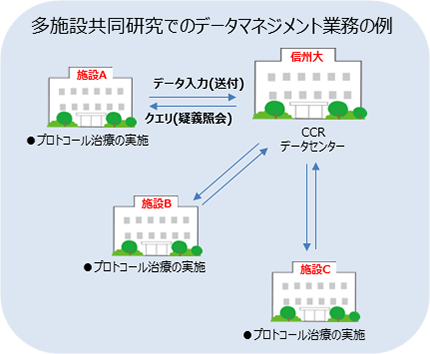 多施設共同研究でのデータマネジメント業務の例