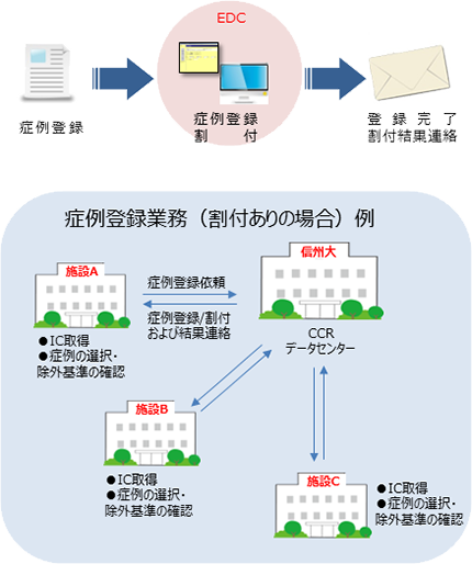 症例登録／割付業務の実施