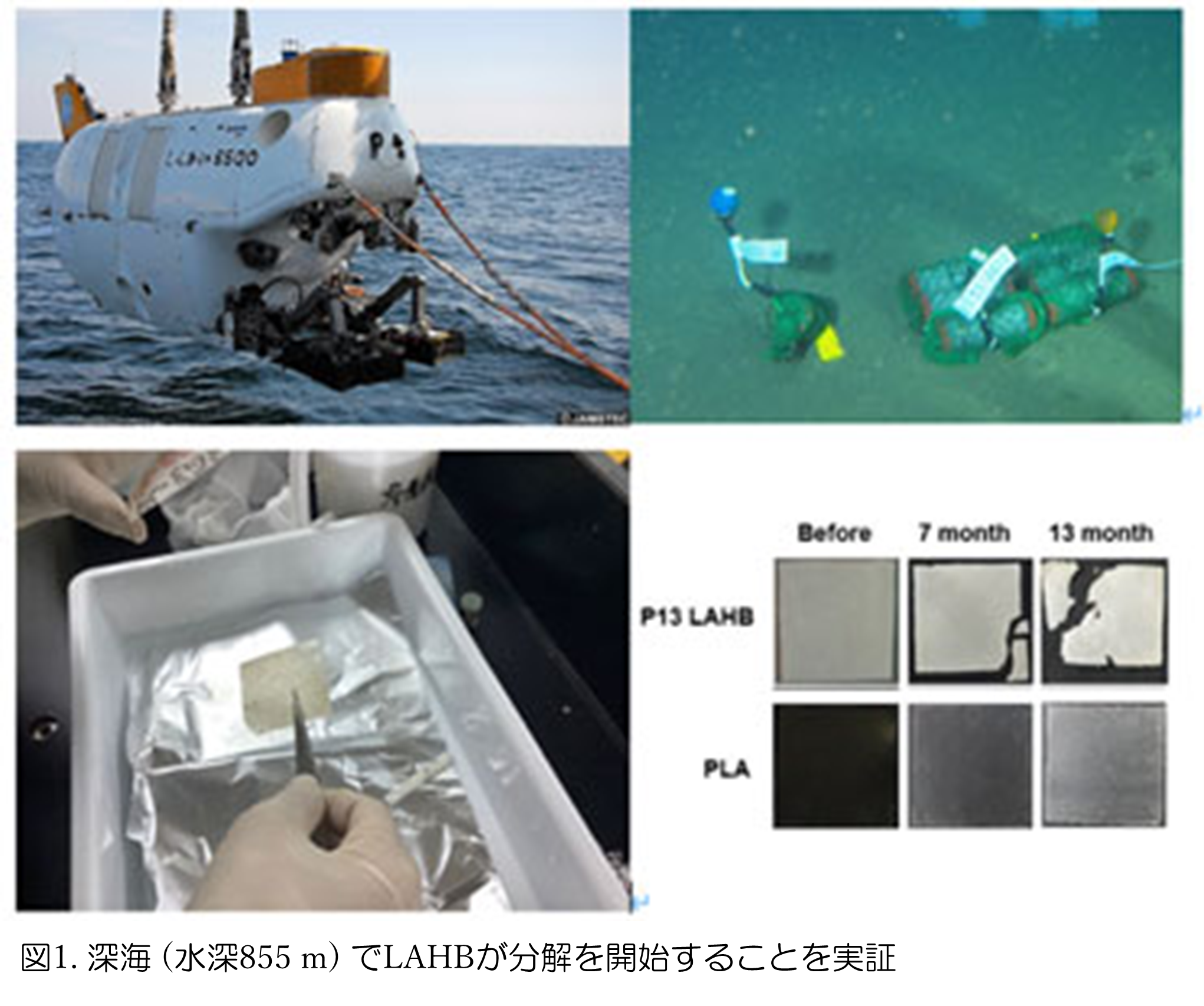 20250703_図1.png