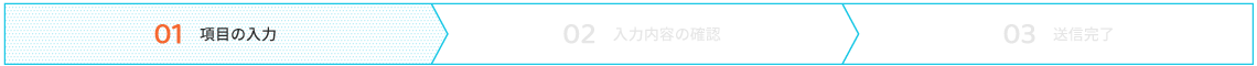 項目の入力