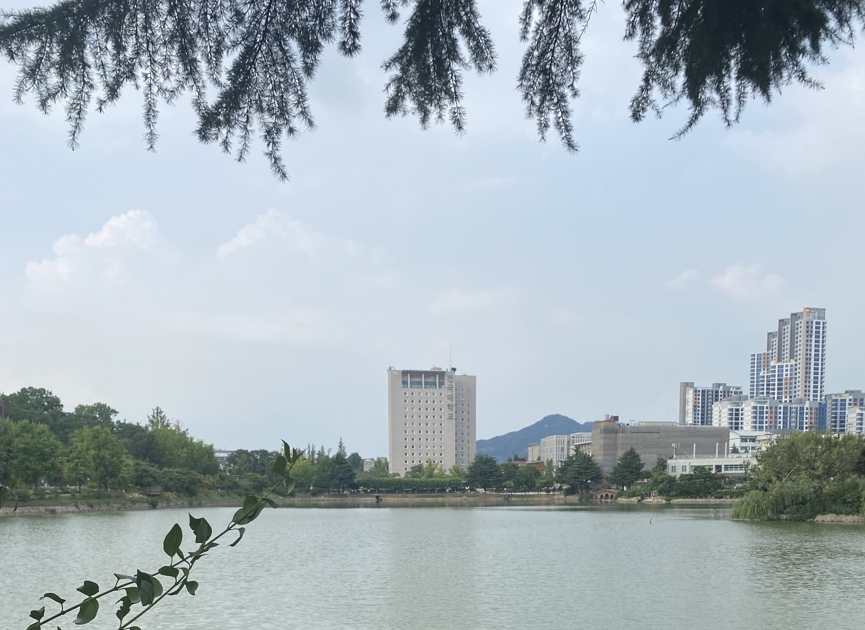 堀川　陽向