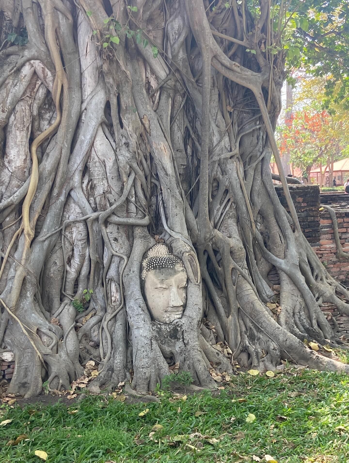 20260421_shortterm report_3.jpg