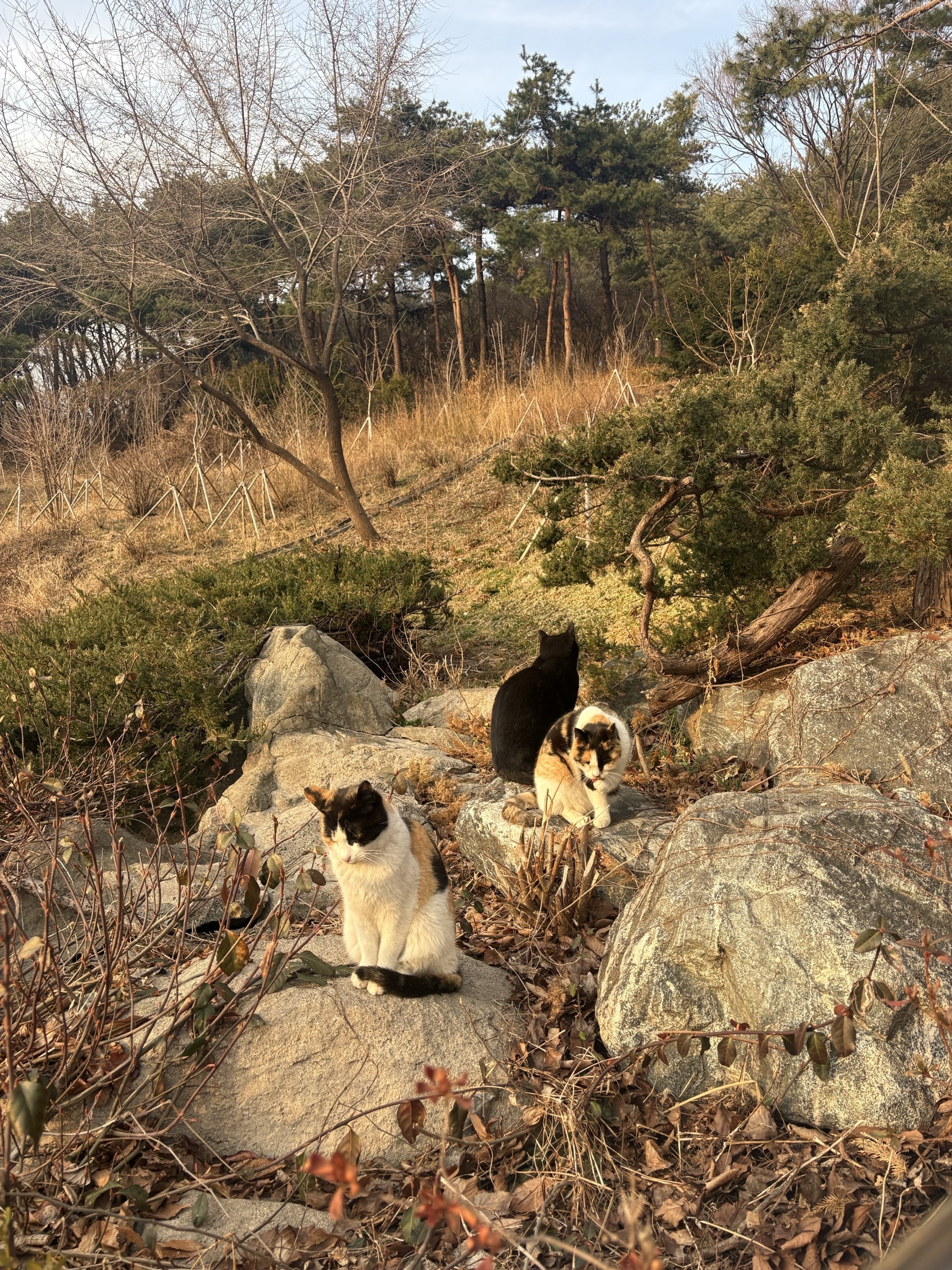 20260421_shortterm report_3.jpeg