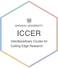 Interdisciplinary Cluster for Cutting Edge Research