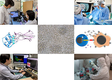 遺伝子・細胞創薬デザインユニット
