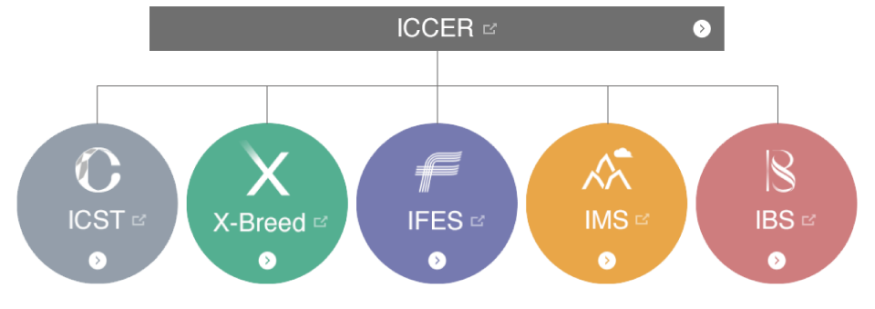 Interdisciplinary Cluster for Cutting Edge Research