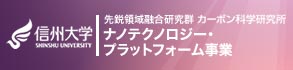 ナノテクノロジー・プラットフォーム形成事業