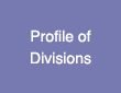 Profile of Divisions