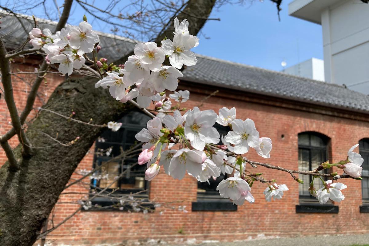 信州大学情報基盤センター