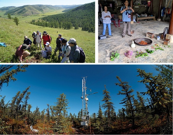 国際連携研究企画部門