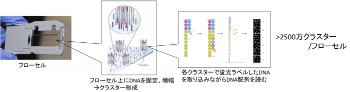 MiSeq2.png