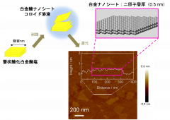 滝本助教・杉本教授らの研究グループが高活性・高耐久な世界最薄の白金ナノシートを開発