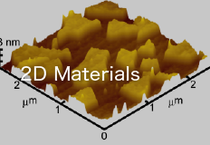 2D Materials Division