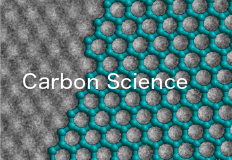 Carbon Science Division