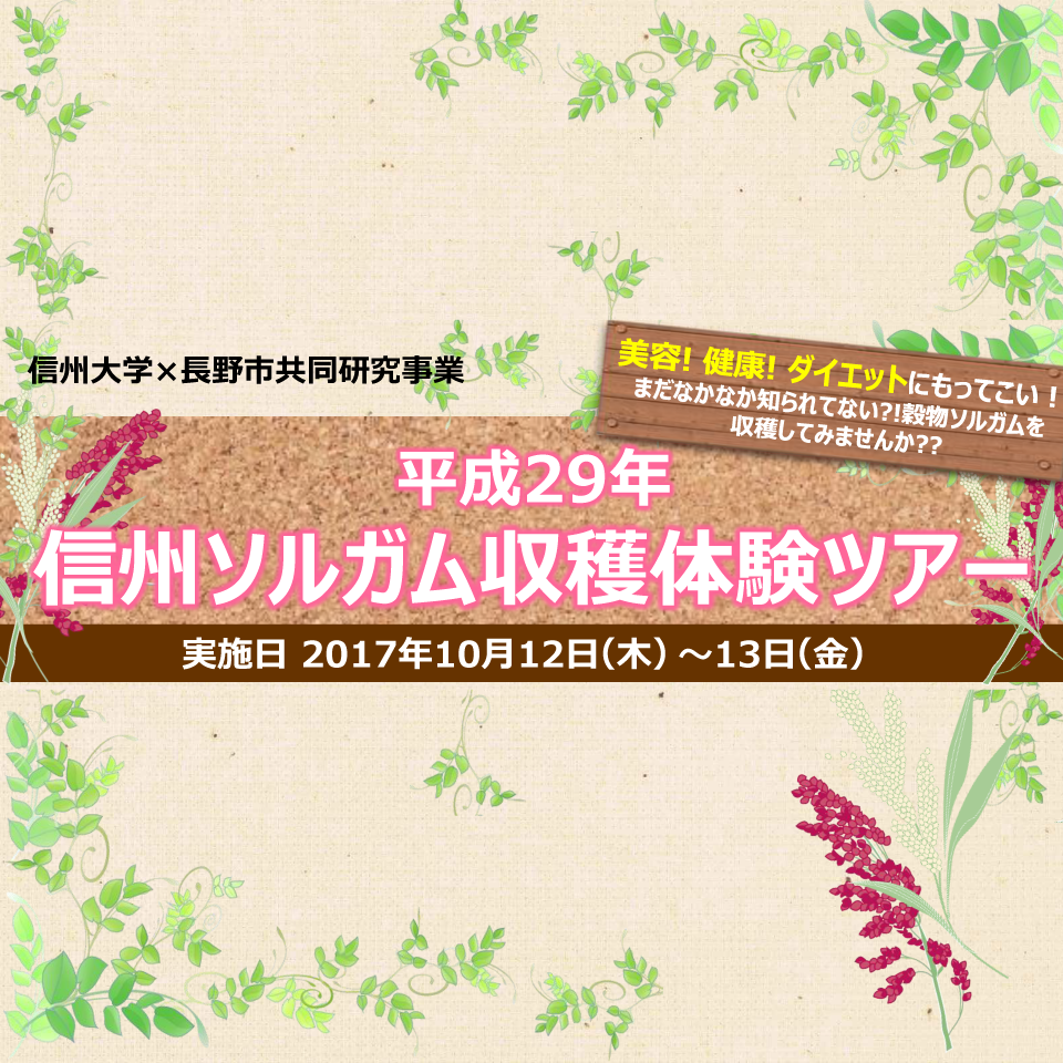 アイキャッチ画像：【開催告知】平成29年度 信州ソルガム収穫体験ツアー