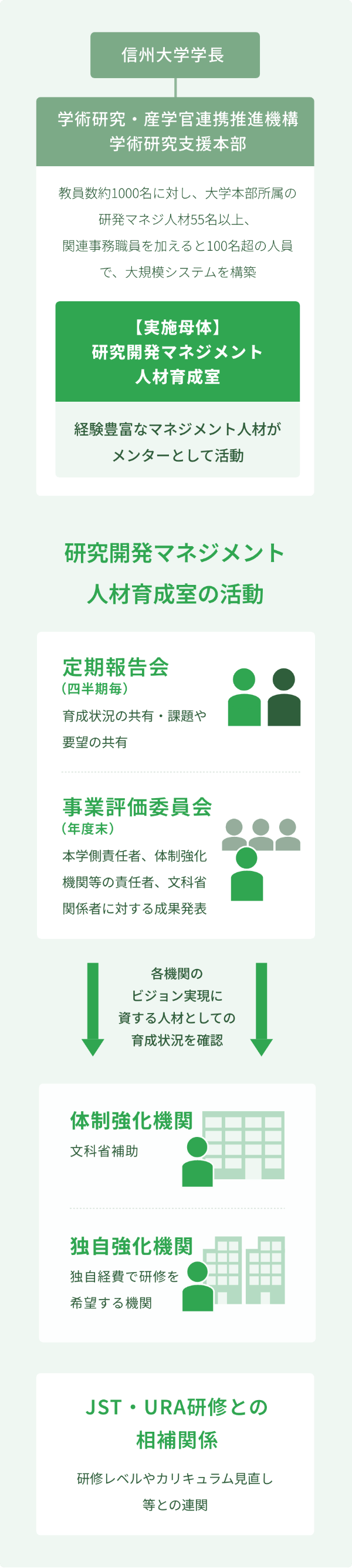 信州大学学長 学術研究・産学官連携推進機構 学術研究支援本部 教員数約1000名に対し、大学本部所属の研発マネジ人材55名以上、関連事務職員を加えると100名超の人員で、大規模システムを構築 研究開発マネジメント人材育成室 経験豊富なマネジメント人材がメンターとして活動 研究開発マネジメント人材育成室の活動 定期報告会(四半期毎)育成状況の共有・課題や要望の共有 事業評価委員会(年度末)本学側責任者、体制強化機関等の責任者、文科省関係者に対する成果発表 体制強化機関 文科省補助付き 独自強化機関 独自経費で研修を希望する機関 JST・URA研修との相補関係 研修レベルやカリキュラム見直し等との連関 信州大学の研修受入要件JST・URA研修のFundamentalとCoreを修了済の人材 ※認定URAは認めない 研究開発マネジメント人材基礎力育成プログラム