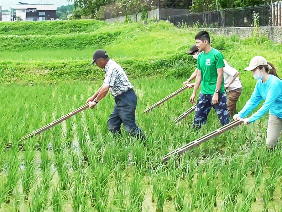 農業ブランドはこうして創る 地域資源活用促進と農業マ-ケティングのコツ  /ぎょうせい/後久博（単行本） ふくしま集落営農活性化プロジェクト促進事業について - 福島県