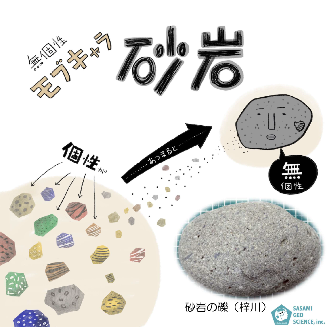 砂岩 堆積岩 石ころ妄想図鑑 長野県デジタル地質図を活用した地学教材開発事業