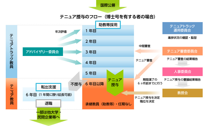 テニュア授与までのフロー