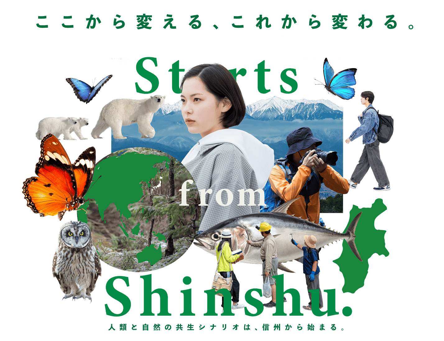 入試情報 Admissions