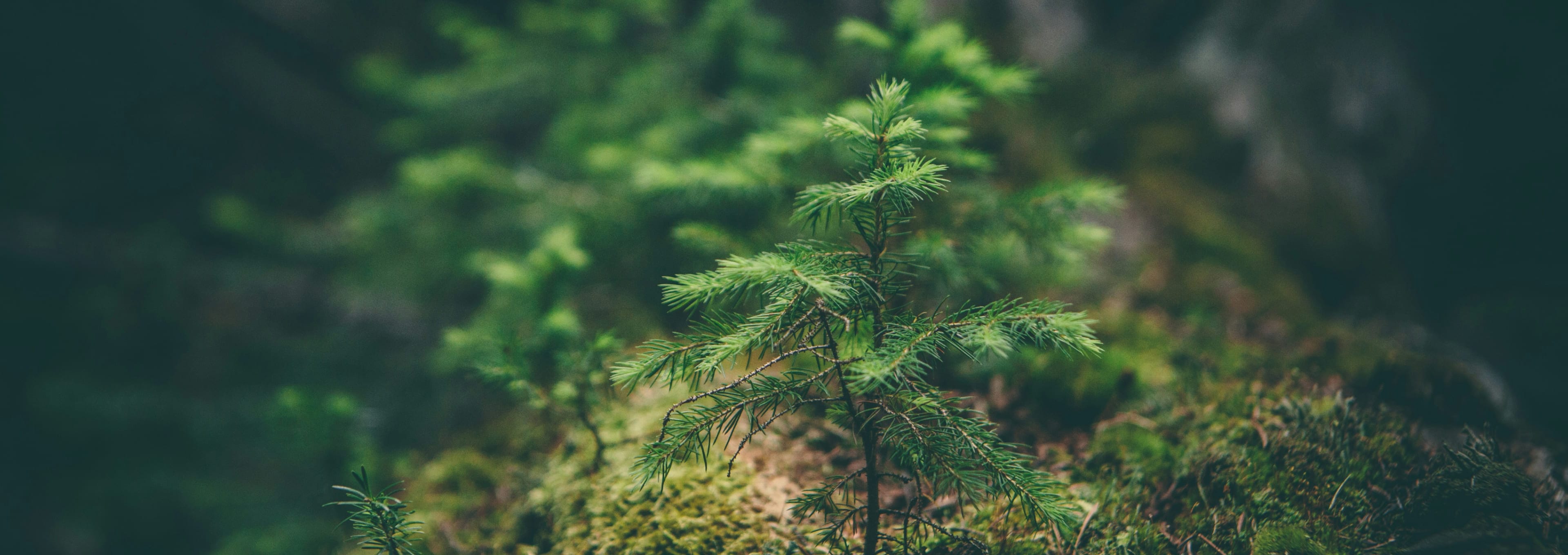 学環の特長 feature