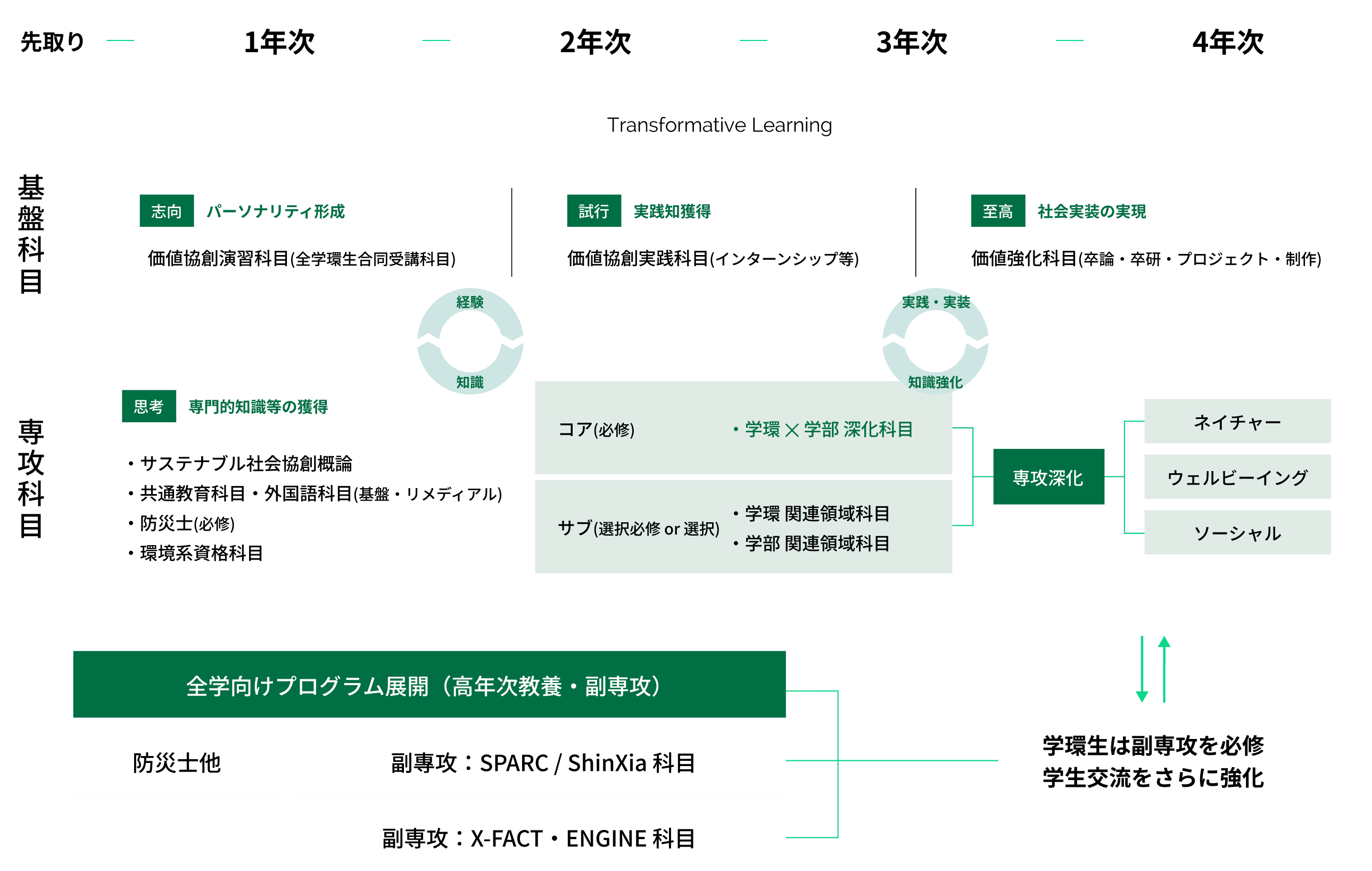 カリキュラム Curriculum