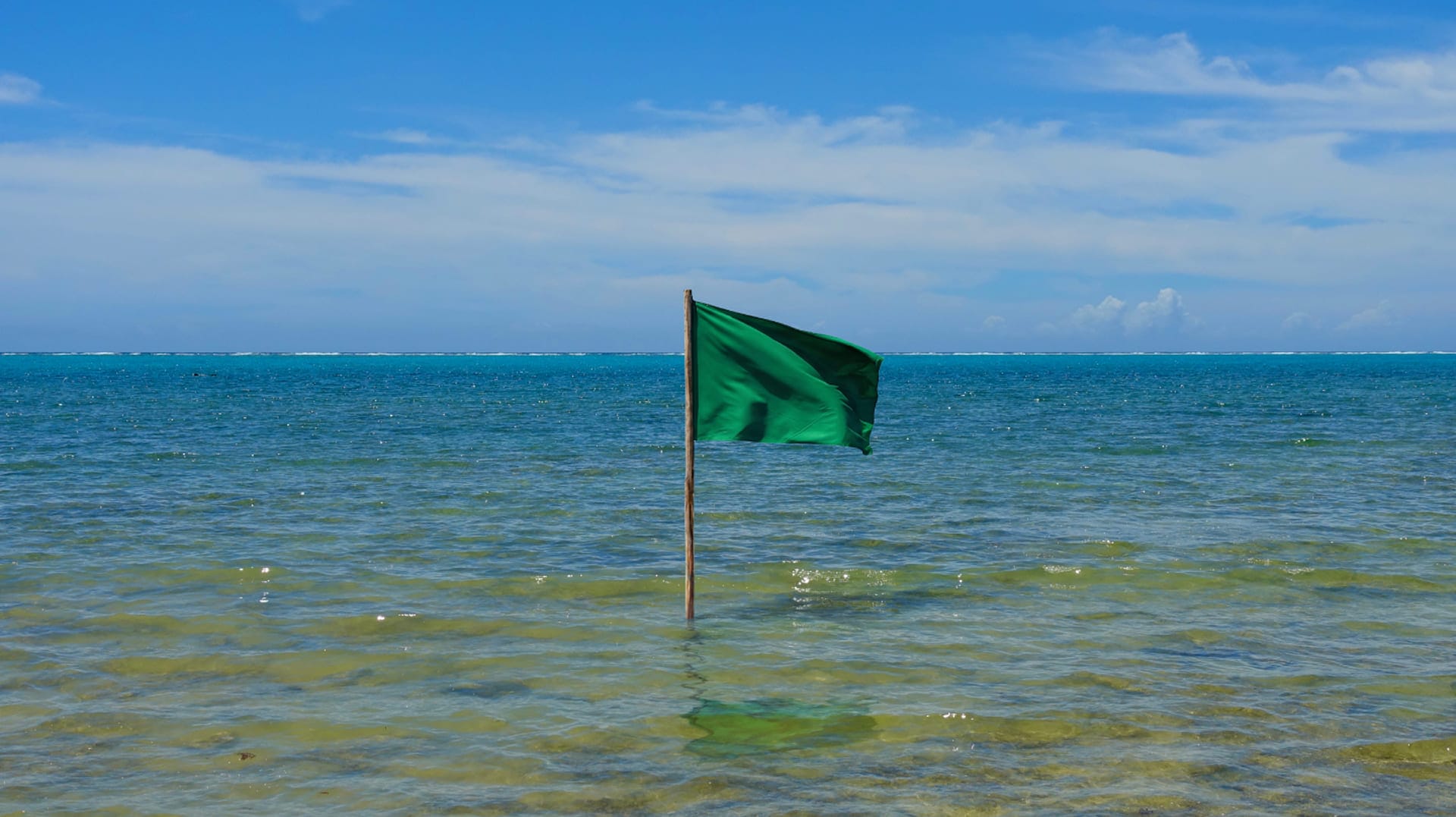 2027年 新設､サステナブル社会協創学環