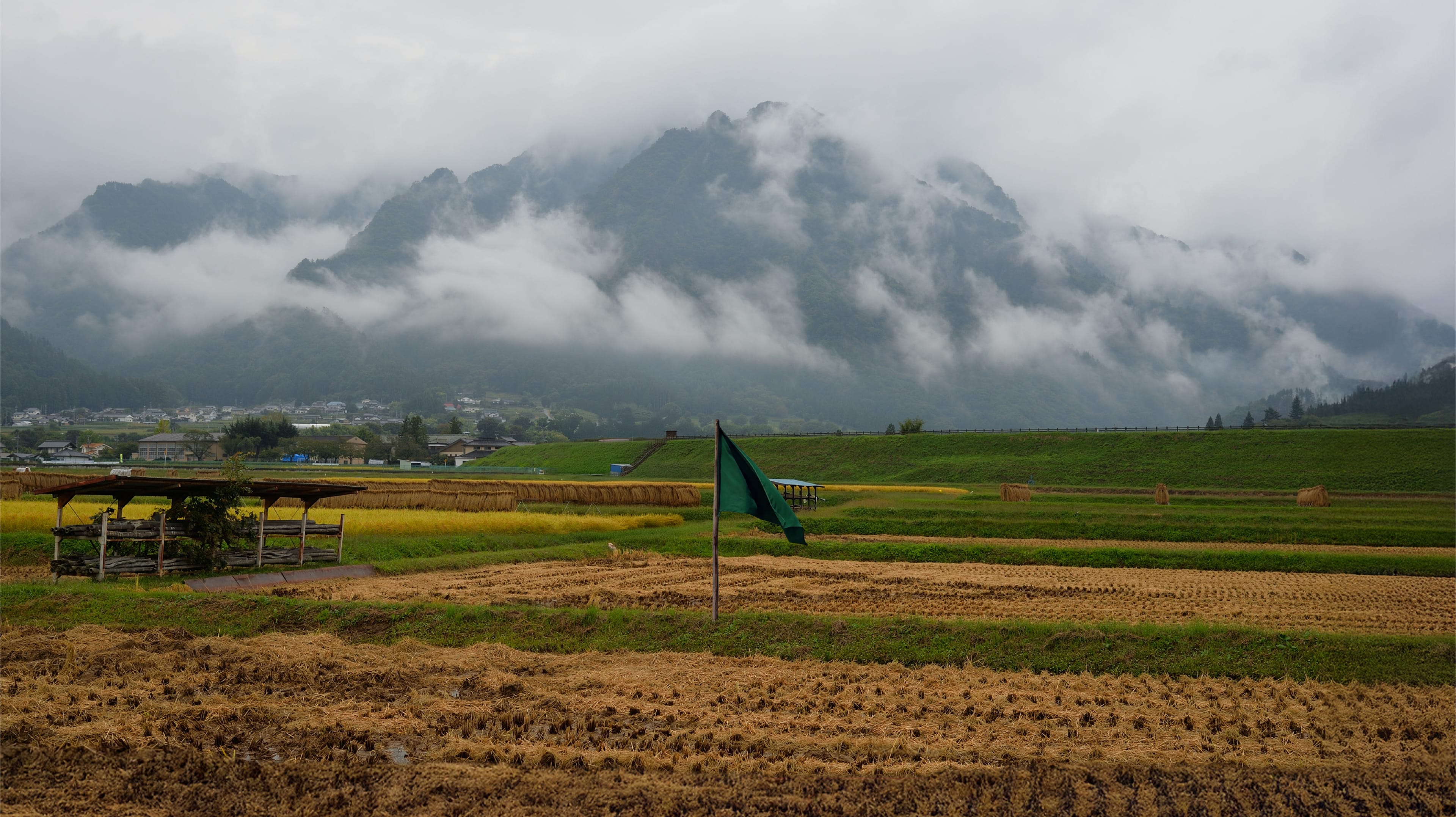 2027年 新設､サステナブル社会協創学環