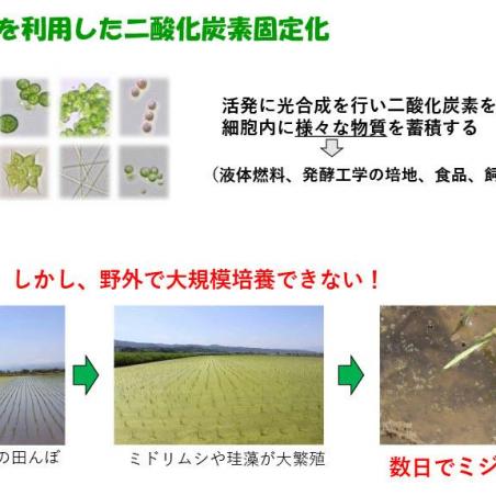 微生物を利用したカーボンリサイクルイメージ6