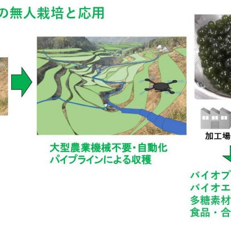 微生物を利用したカーボンリサイクルイメージ8