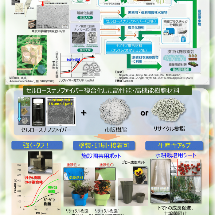 ナノナノ複合体の活用による次世代施設園芸の生産性向上イメージ1