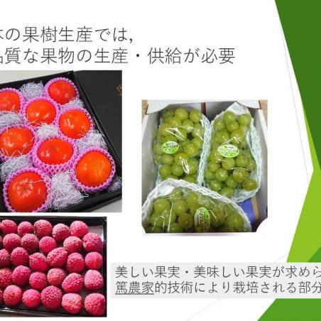 美味しい果物づくりの解析を目指すイメージ2