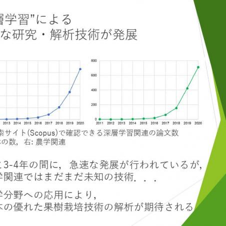 美味しい果物づくりの解析を目指すイメージ3