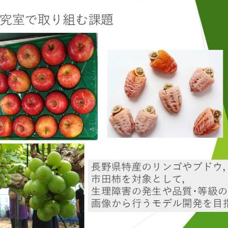 美味しい果物づくりの解析を目指すイメージ5