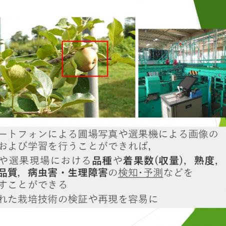 美味しい果物づくりの解析を目指すイメージ6