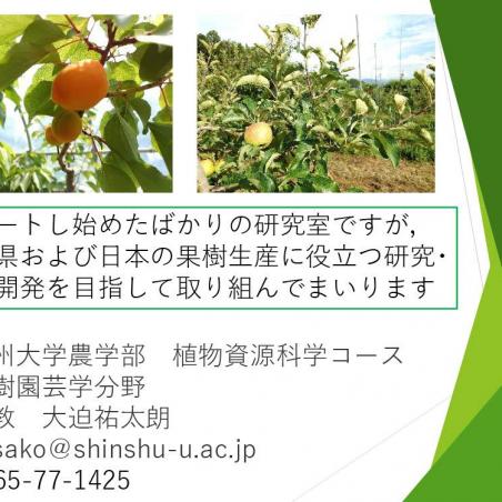 美味しい果物づくりの解析を目指すイメージ7