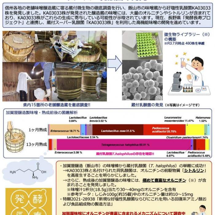老舗醸造蔵に宿る蔵付微生物バンクを基盤とするスーパー乳酸菌の発見イメージ1