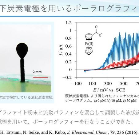 水銀を使わないポーラログラフィーイメージ3