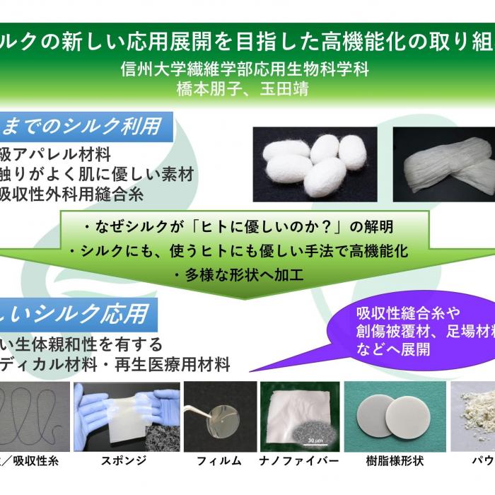 シルクの新しい応用展開を目指した高機能化の取り組みイメージ1