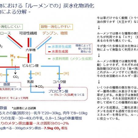 飼料の地産地消×地域資源の機能性発掘=ゼロカーボン動物生産イメージ2