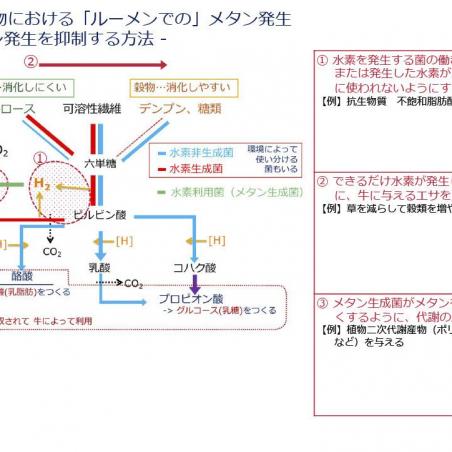 飼料の地産地消×地域資源の機能性発掘=ゼロカーボン動物生産イメージ3