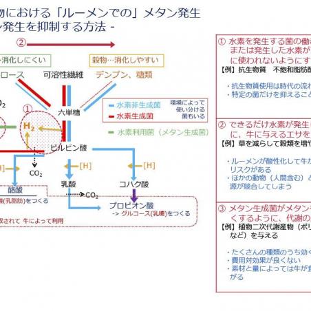 飼料の地産地消×地域資源の機能性発掘=ゼロカーボン動物生産イメージ4