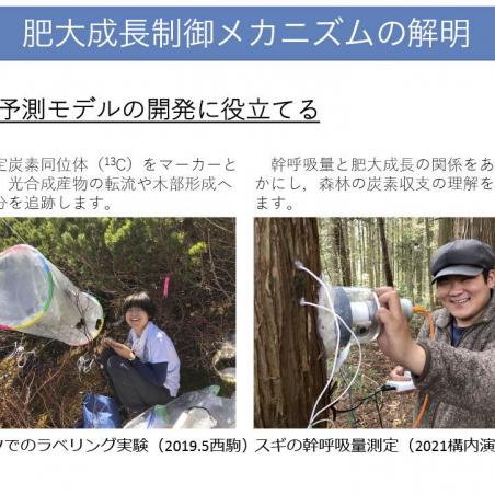 年輪から樹木の気候応答を読むイメージ6