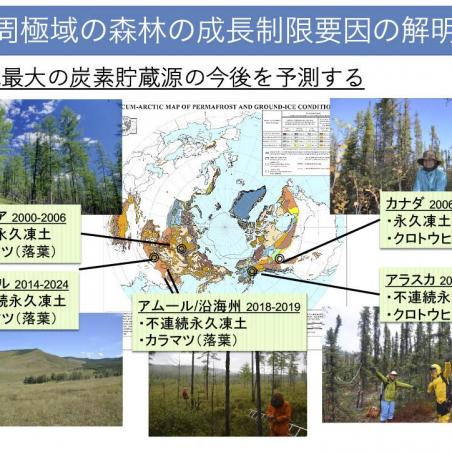 年輪から樹木の気候応答を読むイメージ7