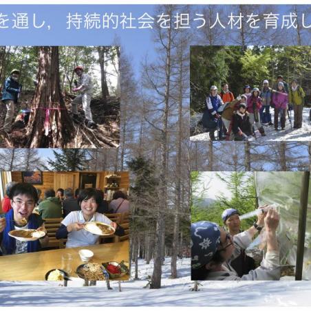 年輪から樹木の気候応答を読むイメージ8