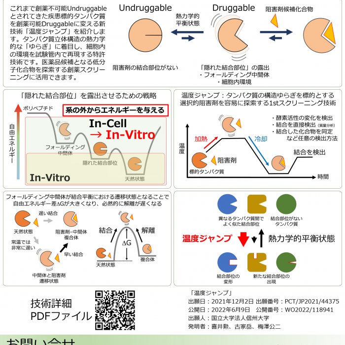 疾患関連タンパク質の「隠れた結合部位」を標的とした創薬技術イメージ1