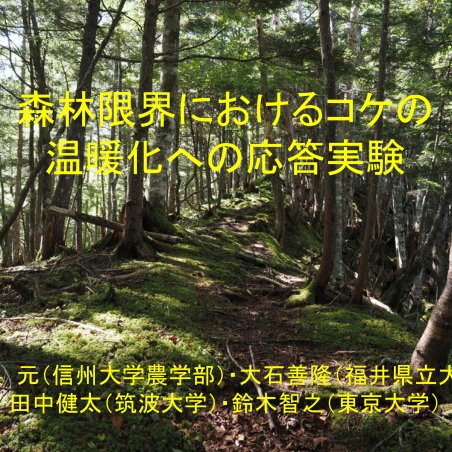 森林限界におけるコケの温暖化への応答実験イメージ1