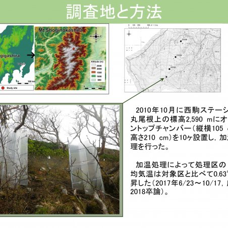 森林限界におけるコケの温暖化への応答実験イメージ3